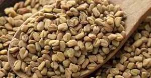 Fenu Seed