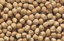 Chickpeas for sale