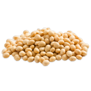 SOYA BEANS