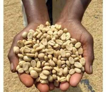 LEKEMOTI NATURAL COFFEE