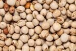 PIGEON PEAS