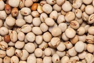 PIGEON PEAS
