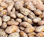 PINTO BEANS