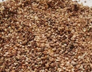 Reddish Sesame Seed