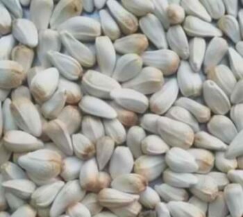 SUNFLOWER SEED